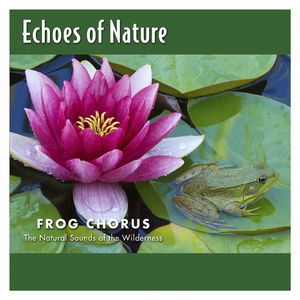 b影院全球最大库存最多的电影
