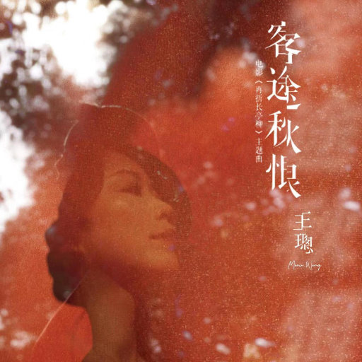 b影院全球最大库存最多的电影
